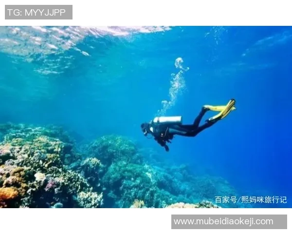 深潜探索：游泳运动的奥秘