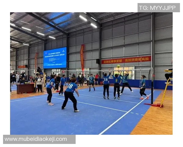 南京排球队的拼搏之路与挑战赛背后的感人故事