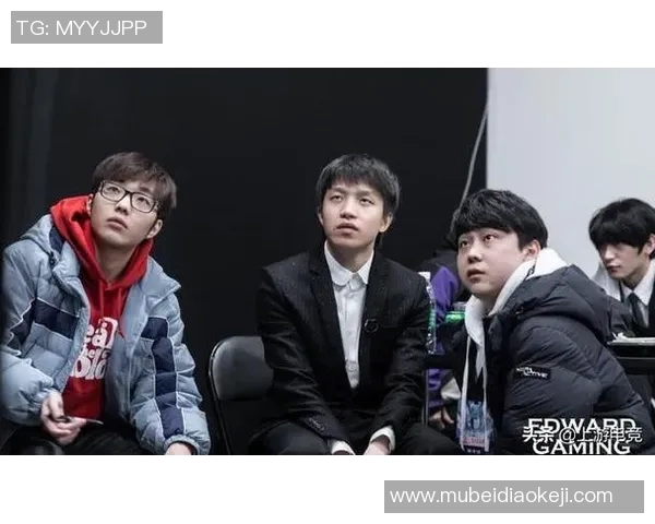 深入分析EDG战队的区域防守策略与战术执行细节