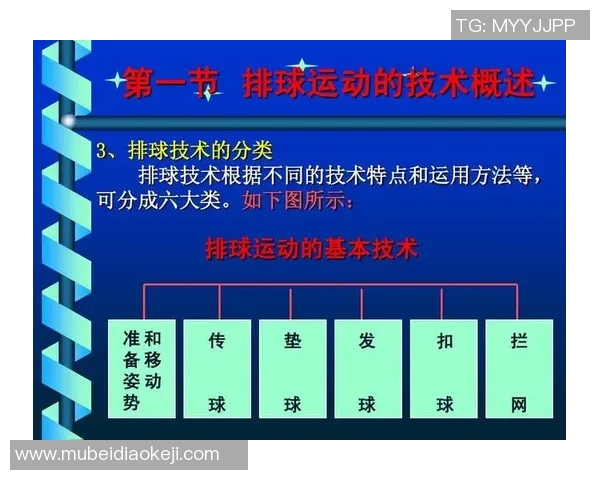 北京排球队反击体系解析：战术运用与实战效果探讨